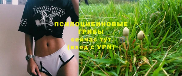 прущая мука Абдулино
