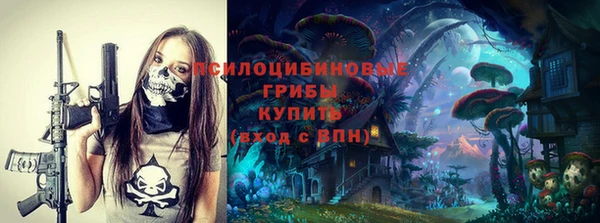 дмт Абаза
