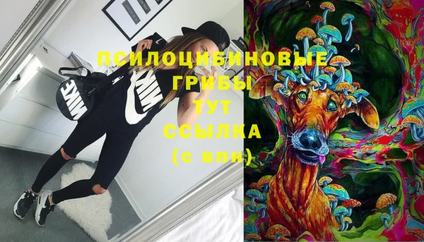 дмт Абаза