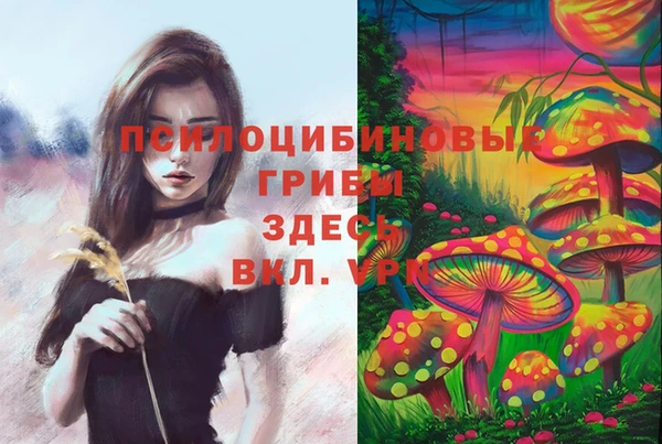 прущая мука Абдулино