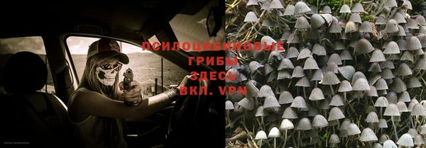 a pvp Абинск