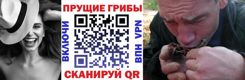купить закладку  площадка телеграм  Псилоцибиновые грибы прущие грибы  Руза 